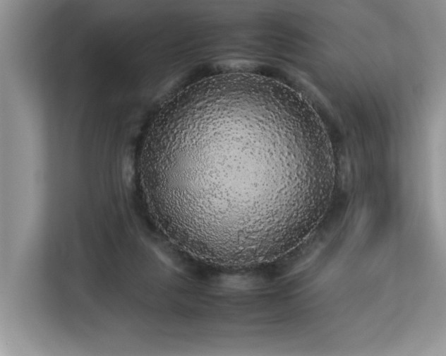 X0000113070259200908281200