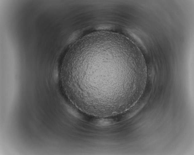 X0000113070261200908281200