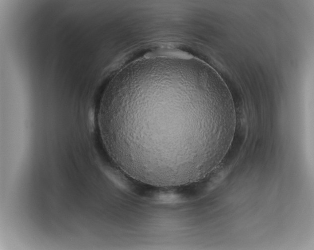 X0000113070262200908281200