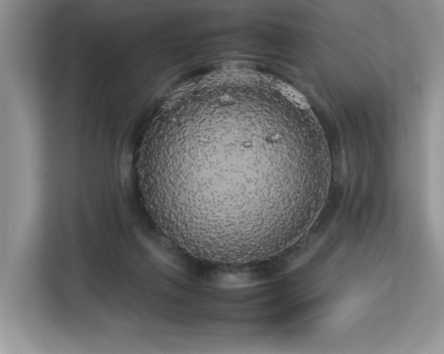 X0000113070263200908281200