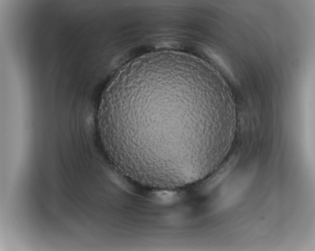 X0000113070265200908281200