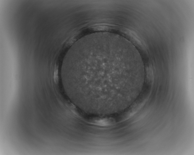 X0000113070267200908281200