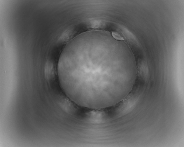 X0000113070272200908281200