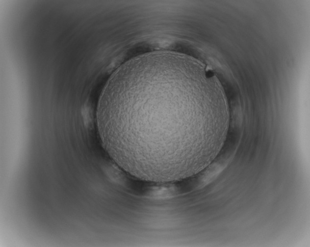 X0000113070274200908281200