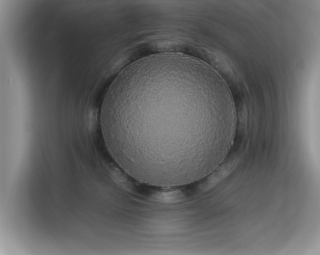 X0000113070278200908281200