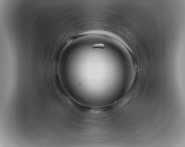 X0000113070280200908281200