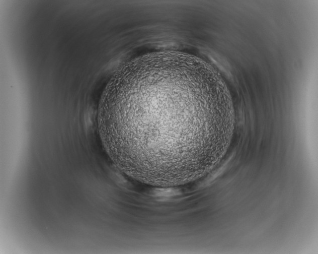 X0000113070281200908281200
