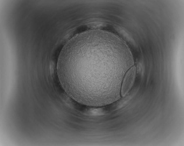 X0000113070283200908281200