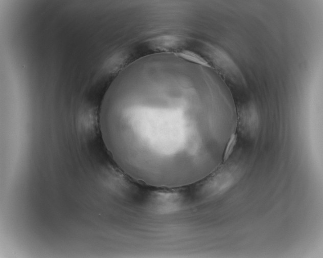 X0000113070284200908281200