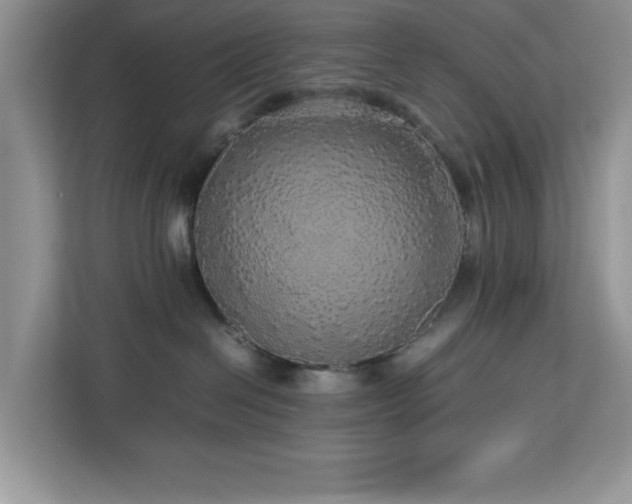 X0000113070286200908281200