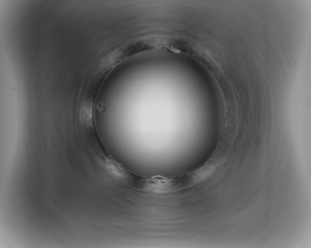 X0000113070288200908281200