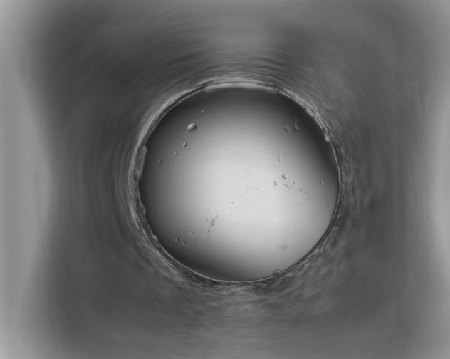 X0000113070289200908281200