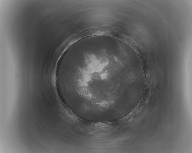 X0000113070290200908281200