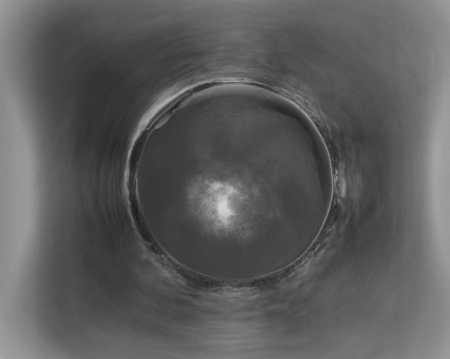 X0000113070292200908281200