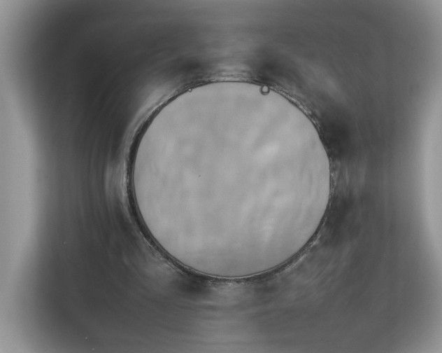 X0000113070293200908281200