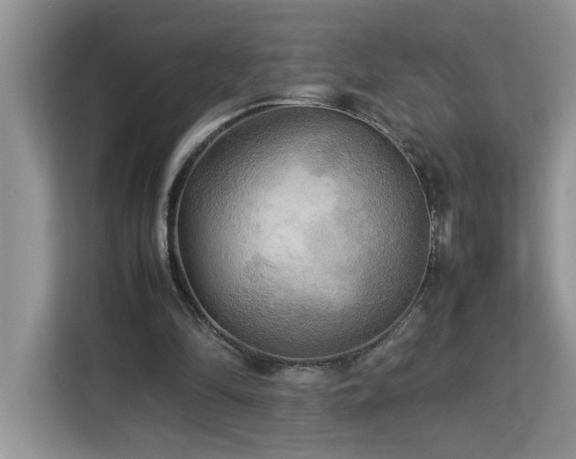 X0000113070294200908281200