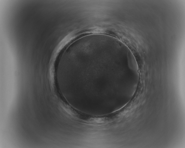 X0000113070295200908281200