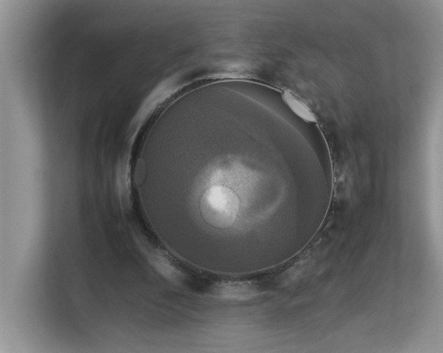 X0000113070296200908281200