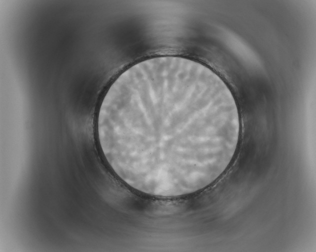 X0000113070297200908281200