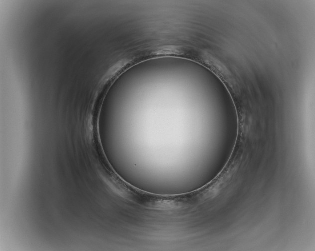 X0000113070298200908281200