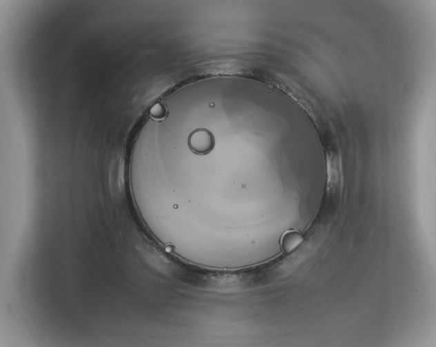 X0000113070301200908281200