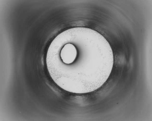 X0000113070302200908281200