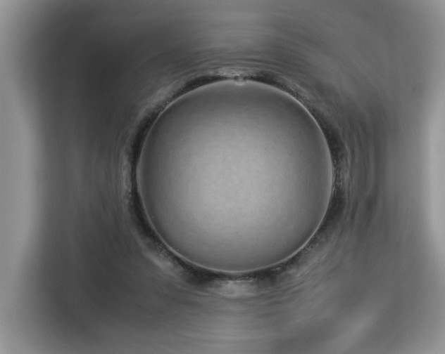 X0000113070303200908281159