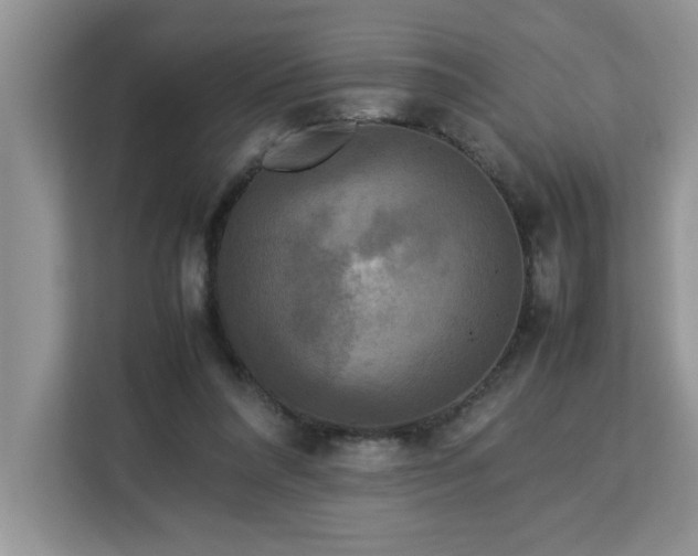 X0000113070304200908281159