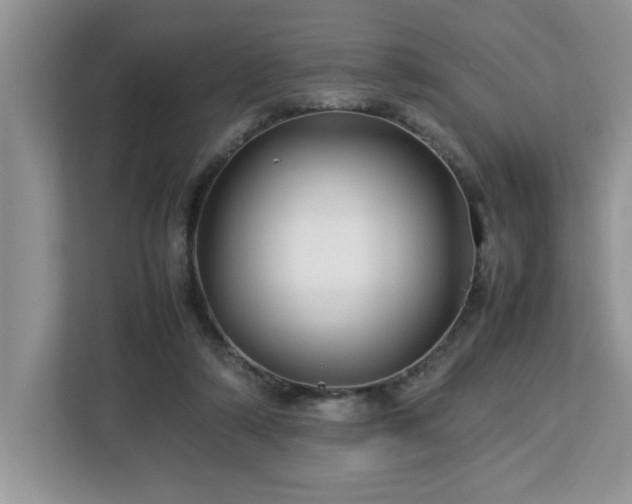 X0000113070306200908281159