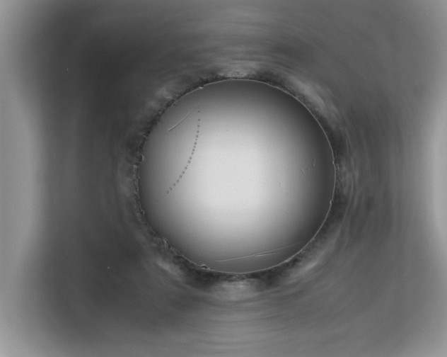X0000113070307200908281159