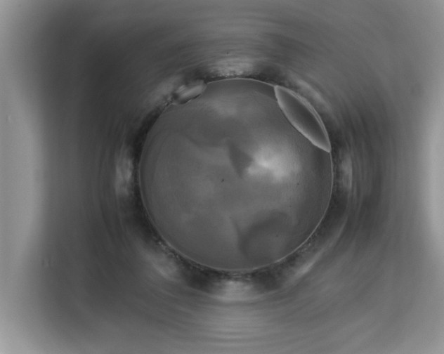 X0000113070308200908281159