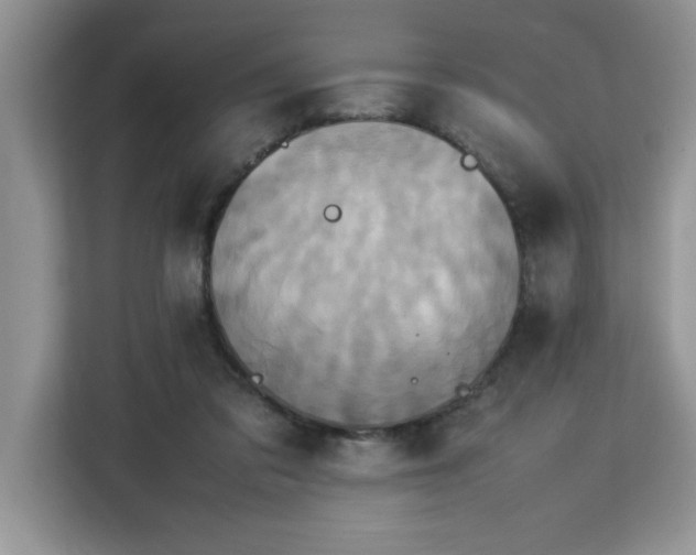 X0000113070309200908281159