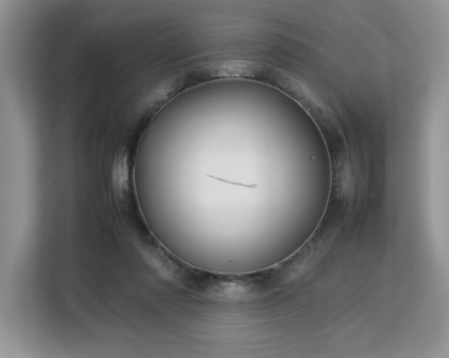 X0000113070310200908281159
