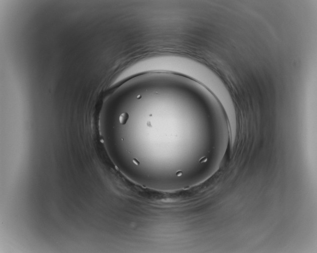 X0000113070312200908281159
