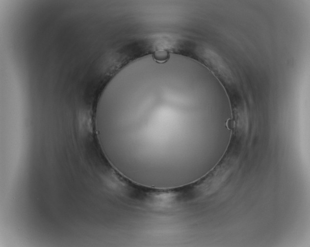 X0000113070313200908281159
