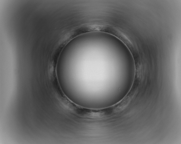 X0000113070314200908281159