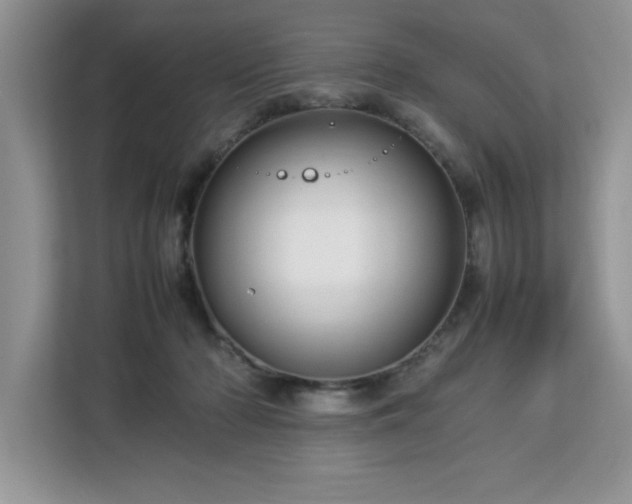 X0000113070318200908281159