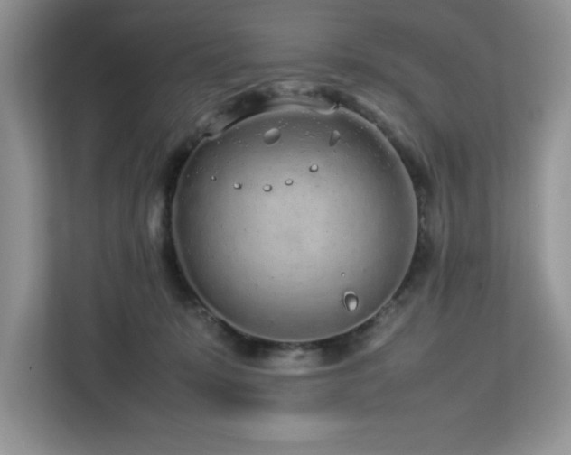 X0000113070319200908281159