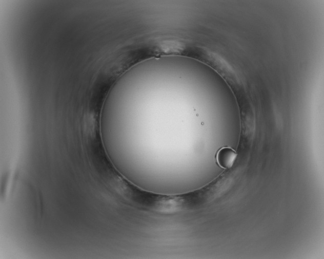 X0000113070321200908281159
