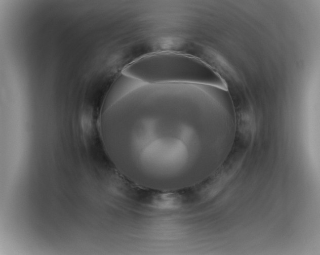 X0000113070324200908281159