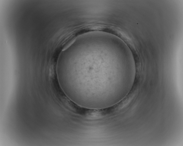 X0000113070325200908281159