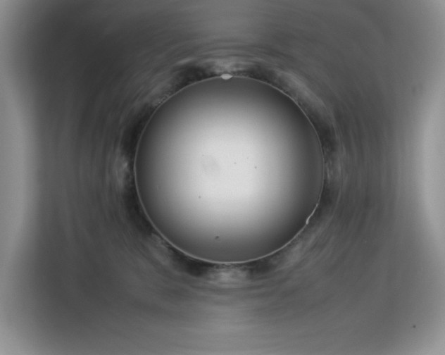 X0000113070327200908281159