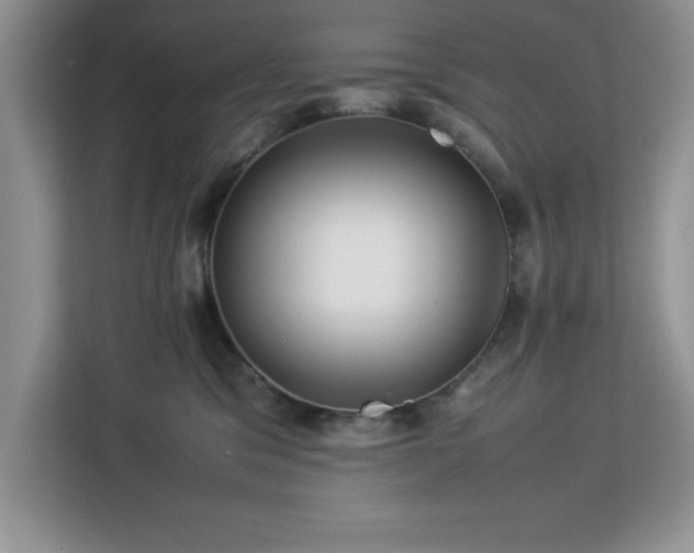 X0000113070329200908281159