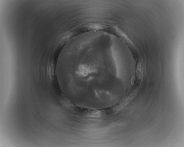 X0000113070330200908281159