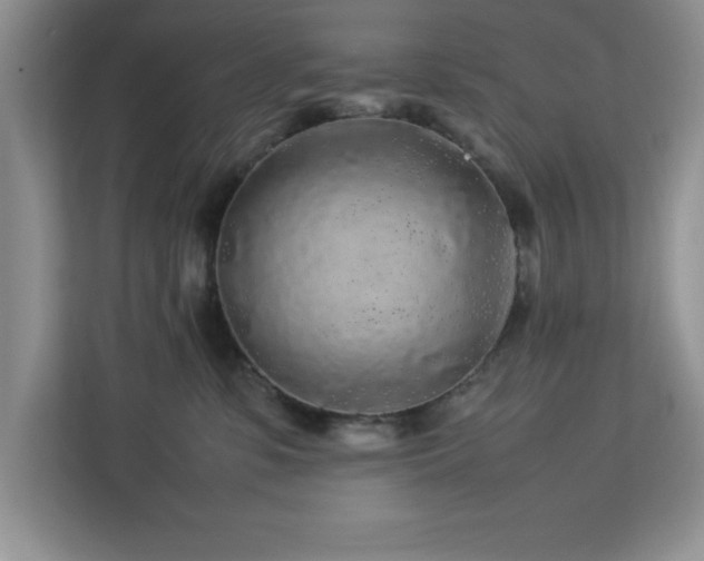 X0000113070331200908281159