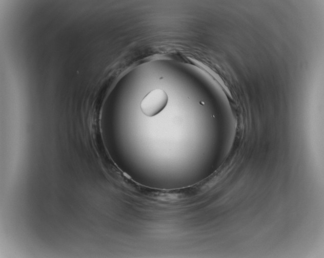 X0000113070332200908281159