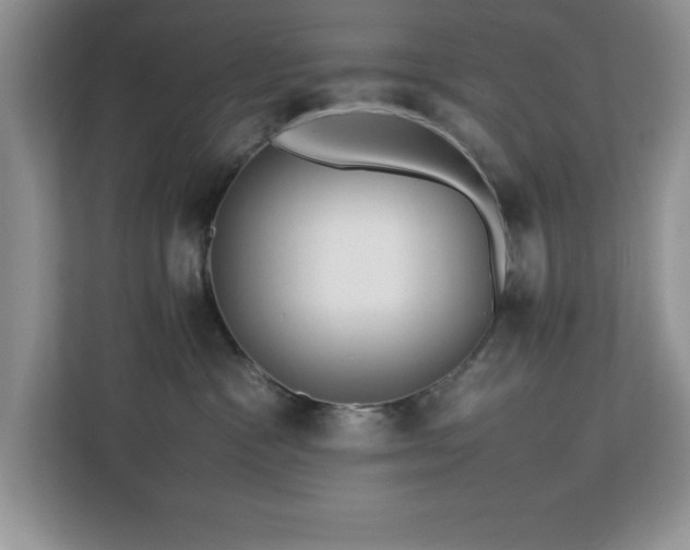 X0000113070333200908281159