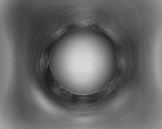X0000113070334200908281159