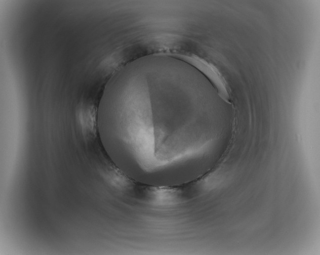X0000113070336200908281159