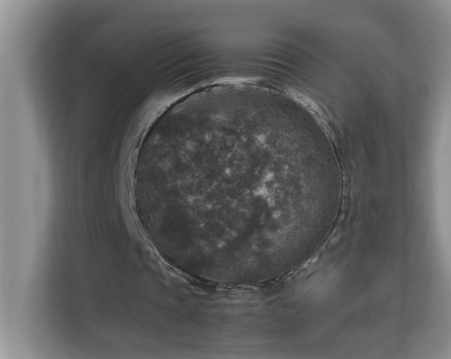 X0000113070337200908281158